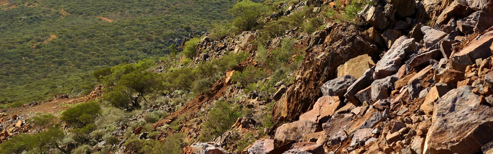 Lort River Project - REE